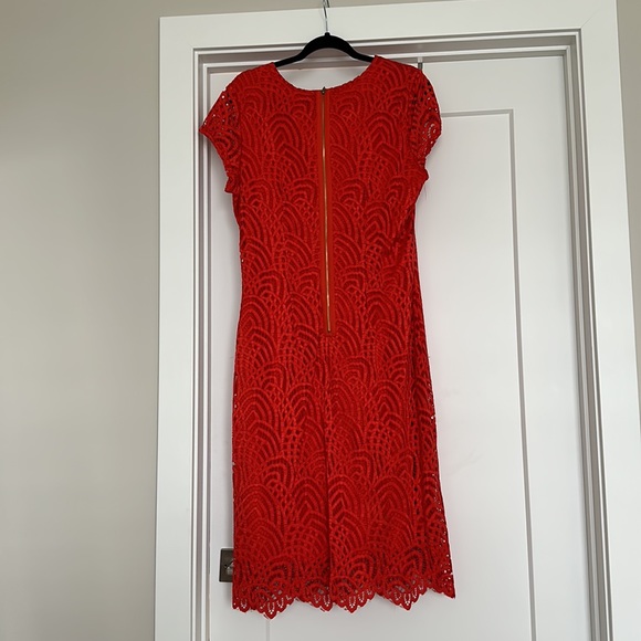 Sharagamo mid length, sheath, dress with cap sleeves and lace overlay detail - Picture 2 of 5